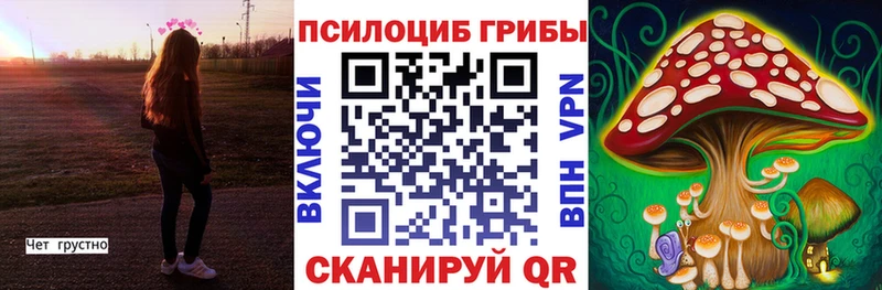 ОМГ ОМГ ССЫЛКА  Томилино  Псилоцибиновые грибы мухоморы  купить наркотики сайты 